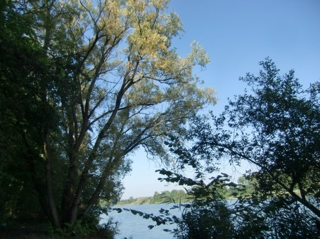 Kranenburg-Wyler : Hauptstraße, Wyler Meer